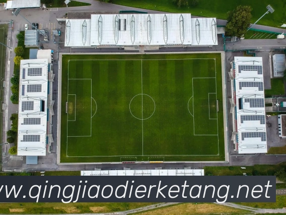 世界杯开户平台服务体系